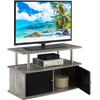 image:imageConvenience Concepts Designs2Go TV Stand with 2 Cabinets BlackFaux Birch