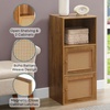 image:imageConvenience Concepts Xtra Storage Boho Weave 3 Door Cabinet 165  Modern Rattan Organizer with Shelf for Living Room Bathroom Office Home Library Closet Brown Autumn HazeBeige Barley2 Door Cabinet