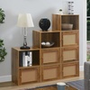 image:imageConvenience Concepts Xtra Storage Boho Weave 3 Door Cabinet 165  Modern Rattan Organizer with Shelf for Living Room Bathroom Office Home Library Closet Brown Autumn HazeBeige Barley2 Door Cabinet