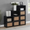 image:imageConvenience Concepts Xtra Storage Boho Weave 3 Door Cabinet 165  Modern Rattan Organizer with Shelf for Living Room Bathroom Office Home Library Closet BlackBeige Barley