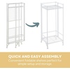 image:imageConvenience Concepts Xtra Storage Plant Stand  2Tier Tall Folding Metal Shelving Organizer Stand Modern Stands for Storage and Display in Living Room Bathroom Office Kitchen Garage BlackWhite