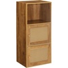 image:imageConvenience Concepts Xtra Storage Boho Weave 3 Door Cabinet 165  Modern Rattan Organizer with Shelf for Living Room Bathroom Office Home Library Closet Brown Autumn HazeBeige Barley2 Door Cabinet