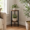 image:imageConvenience Concepts Graystone 24 inch 2 Tier Plant Stand  Industrial Stand for Plants Vases and Antiques Urban Modern Design for the Living Room Hallway Entryway BarnwoodBlackBarnwoodBlack