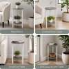 image:imageConvenience Concepts Graystone 24 inch 2 Tier Plant Stand  Industrial Stand for Plants Vases and Antiques Urban Modern Design for the Living Room Hallway Entryway Faux BirchWhiteFaux BirchWhite