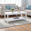 image:imageConvenience Concepts American Heritage Rectangle Coffee Table 42  Classic Center Accent with Storage Shelf for Farmhouse Transitional Traditional Living amp Family Room EspressoWhite