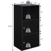 image:imageConvenience Concepts Xtra Storage 2 Door Cabinet with Shelf CherryBlack
