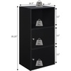 image:imageConvenience Concepts Xtra Storage 2 Door Cabinet with Shelf CherryWhite
